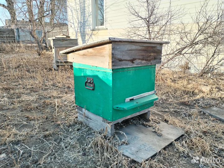 Улей для пчел