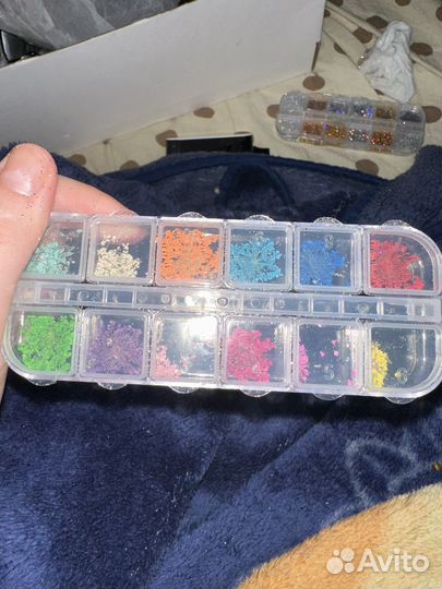 Цветы сухоцветы для ногтей