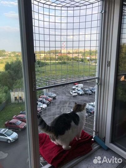 Балкончик для кошки, решётка антикошка