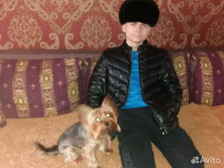 Мужская норковая шапка ушанка обмен на девочку йор