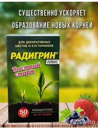 Радигрин в ассортименте