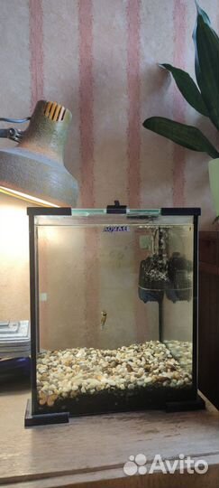 Аквариум, фильтр для аквариума