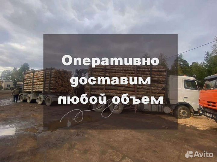 Дрова на дачу