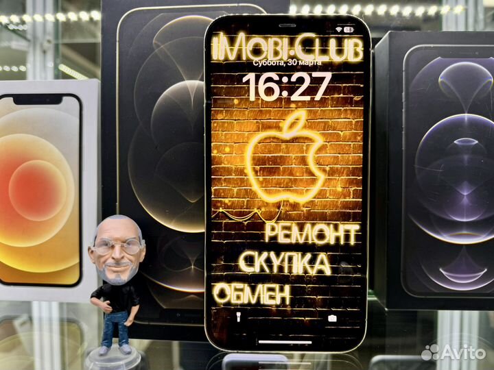 iPhone 12 Pro Max, 256 ГБ