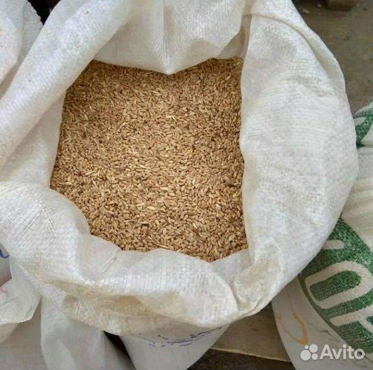 Пшеница в мешках