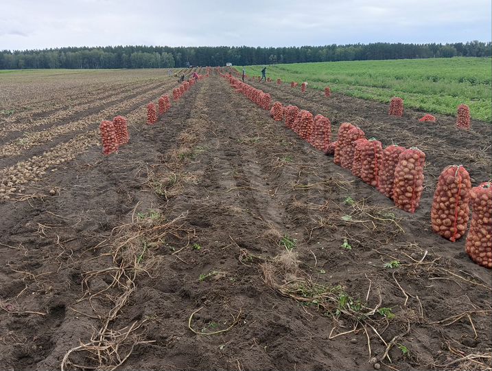 Участок 15 га (СНТ, ДНП)