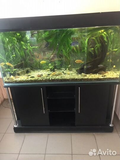 Аквариум