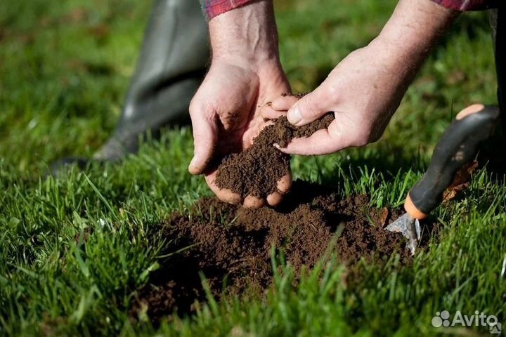 Чернозем Торф Навоз Грунт Смесь Плодородка