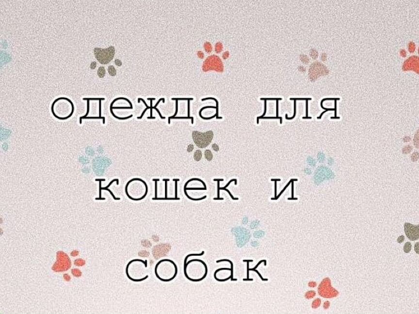 Одежда для животных