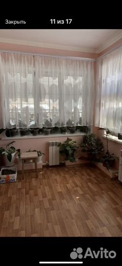 Продам цветы комнатные