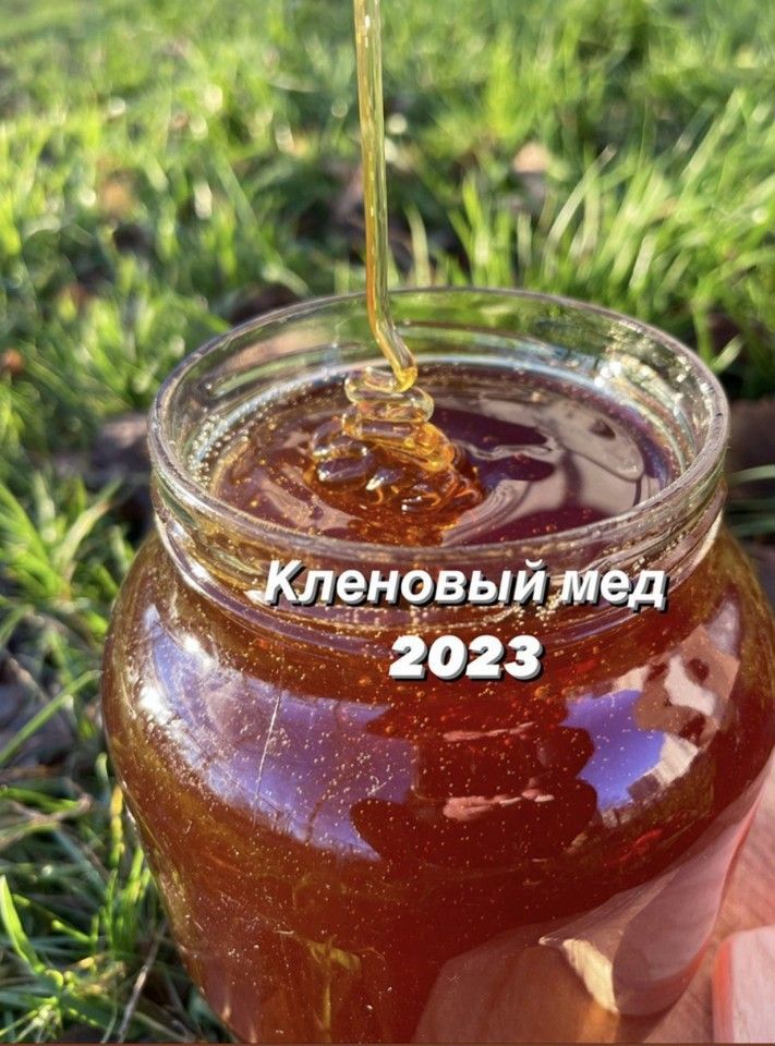 Мёд тёмный жидкий "Лесное разнотравье" купить в Пензе Товары для дома и дачи Ави