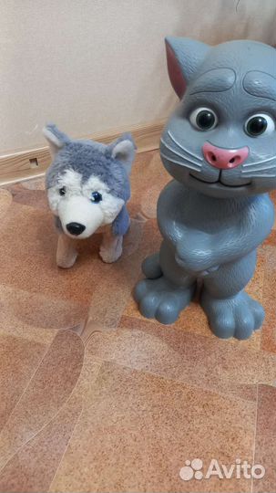 Говорящий кот Том