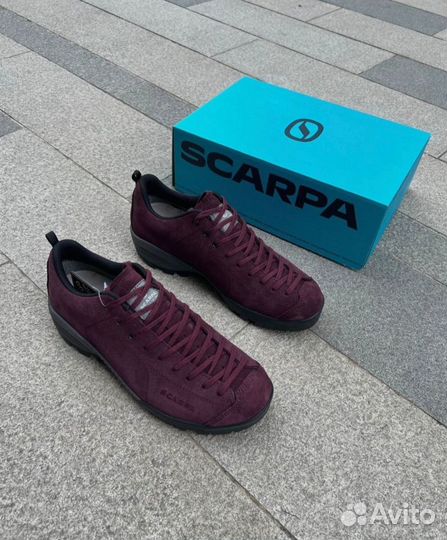 Кроссовки scarpa мужские