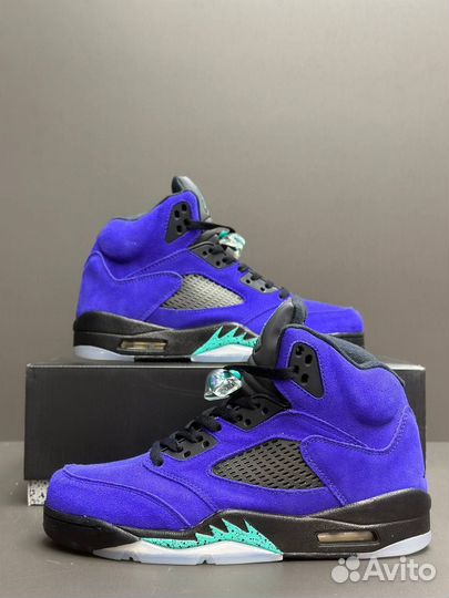 Nike Air Jordan 5