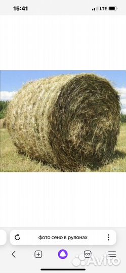 Сено солома в рулонах
