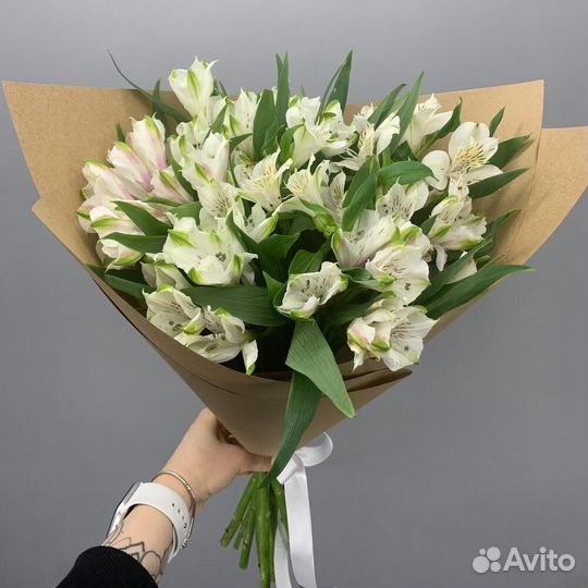 Моно из альстромерий