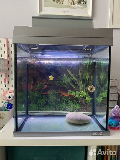 Аквариум