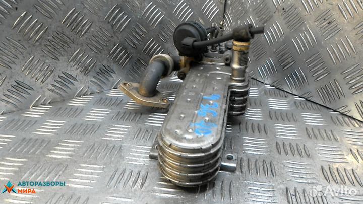 Клапан EGR Volkswagen Touran 2005 038131501AN