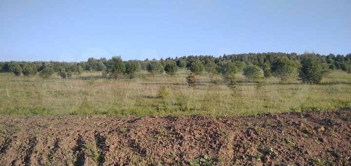 Участок 12 га (СНТ, ДНП)