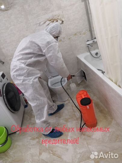 Дезинфекция