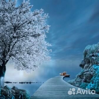 Постеры, фотографии, картины для оформления интерь