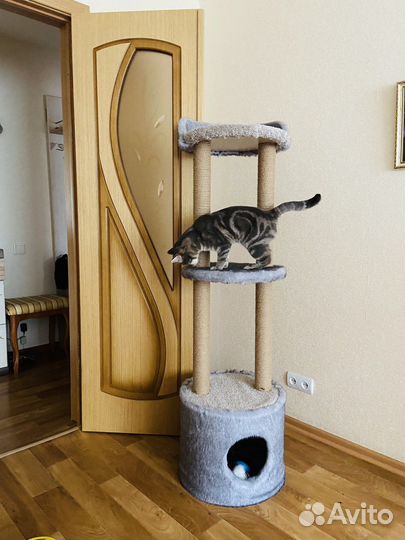 Домик для кошки с когтеточкой