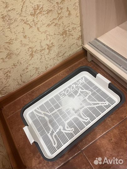 Кошачий лоток