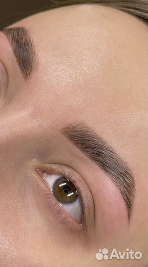 Мастер бровист