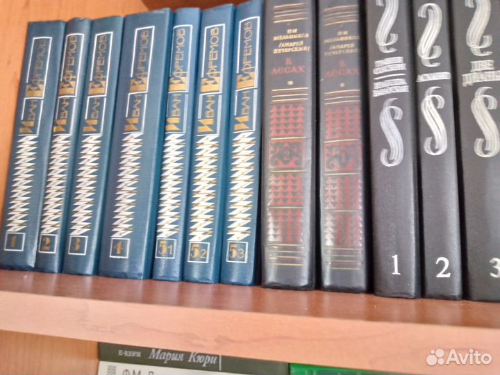 См Бунин Ефремов Ключевский