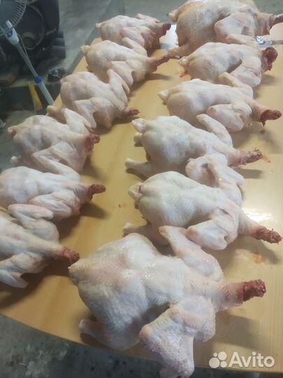 Индейка, мясо бройлерной индейки