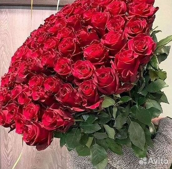 Метровые розы Доставка цветов