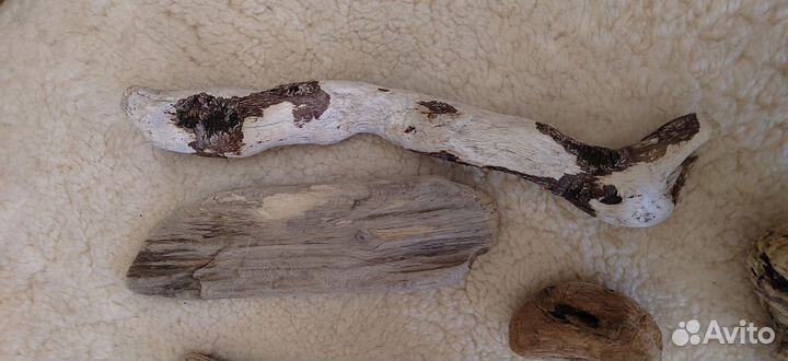 Декор коряги