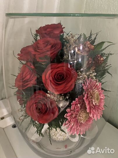 Стабилизированные цветы в стекле