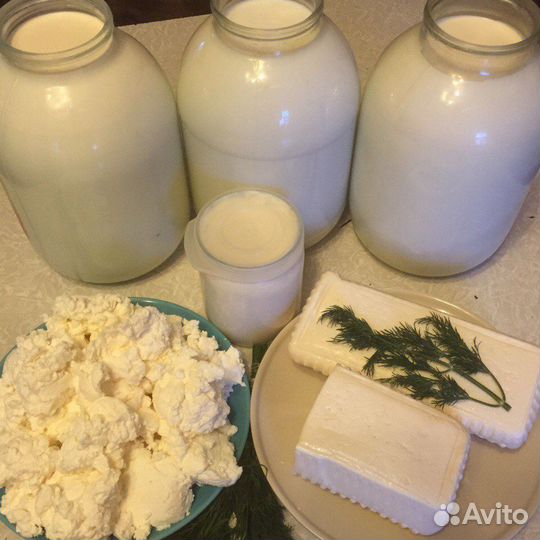 Молоко коровье домашнее