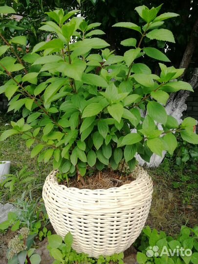 Кашпо из искусственного ротанга