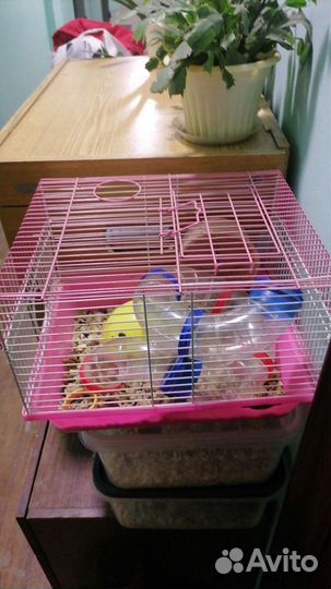 Клетка с тоннелем для мелких грызунов