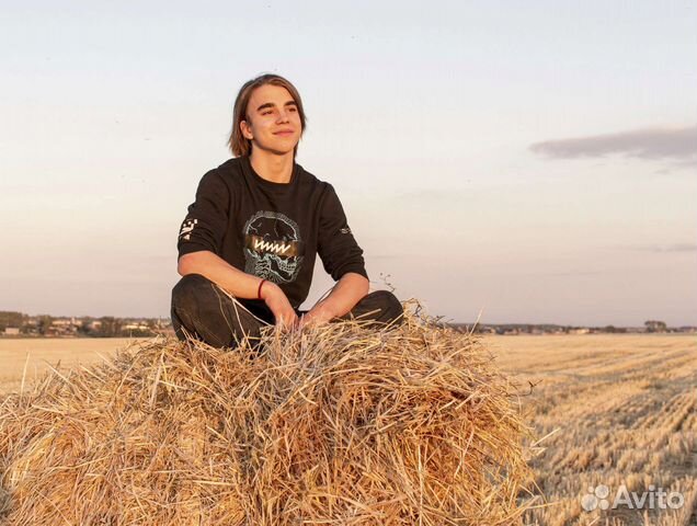 Репетитор по программированию