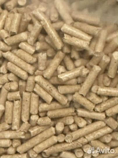 Кошачий наполнитель