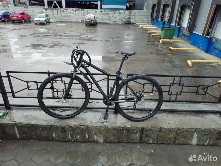 Forward Sporting 29 2.1 D (2023)