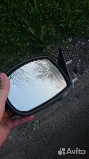 Зеркала калина