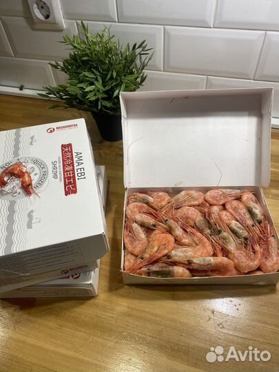 Креветка магаданская 60/80