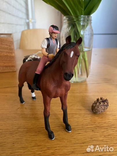 Лошадь новая Морган Mojo+ наездник