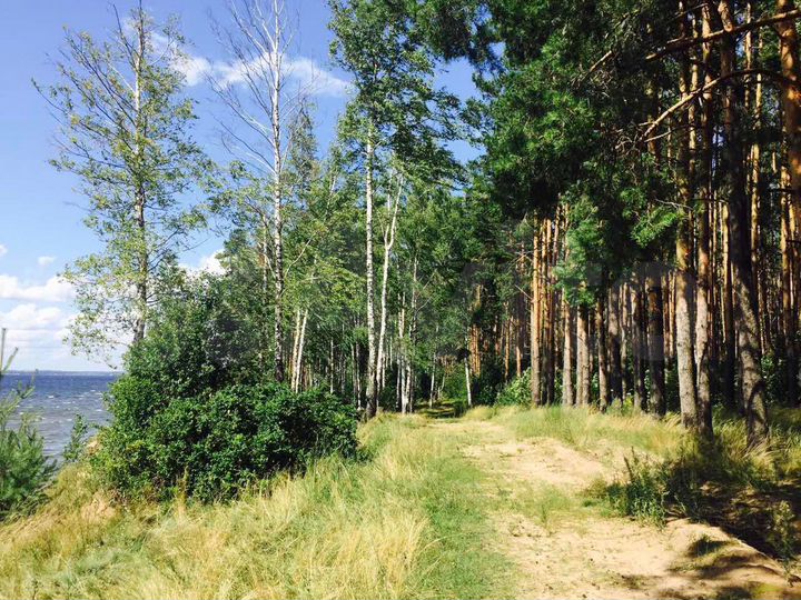 Участок 12,2 га (ИЖС)