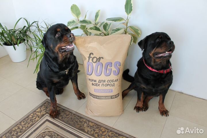 Корм для собак Фор Дог 20кг