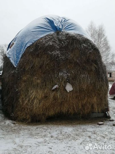 Продается сено