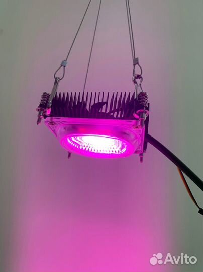 Фитолампа 50W, с линзой и охлаждением (кулером)