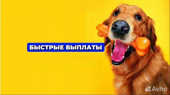 Упаковщики/Подработка/Еженедельные выплаты