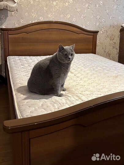 Кровать двухспальная 160 200