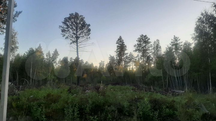 Участок 20 сот. (ИЖС)