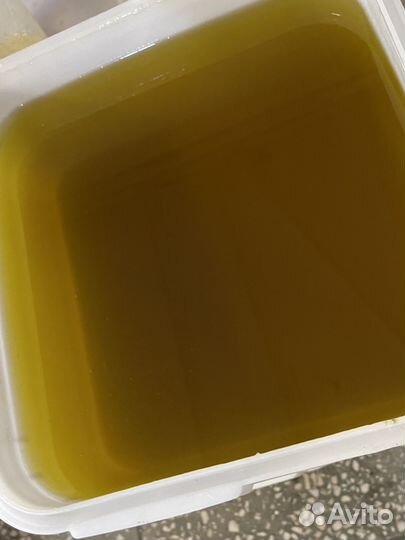 Мед оптом / черноклёновый